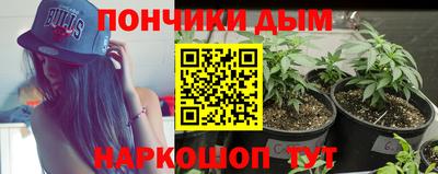 мяу мяу мука Аргун