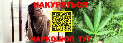 мяу мяу мука Аргун