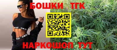 индика Апшеронск