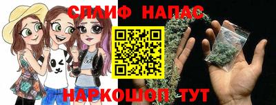 индика Апшеронск