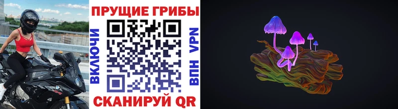 kraken сайт  Нижневартовск  Псилоцибиновые грибы Cubensis  купить  