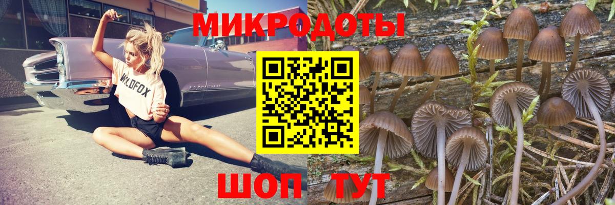 Галлюциногенные грибы прущие грибы  Галлюциногенные грибы Psilocybe  Нижневартовск 